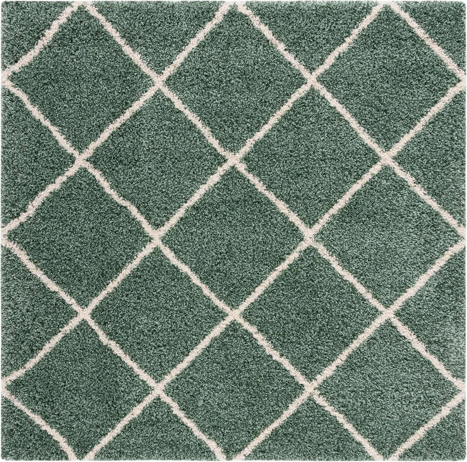Transform Your Space with the Luxurious SAFAVIEH Hudson Shag Area Rug - 7&
